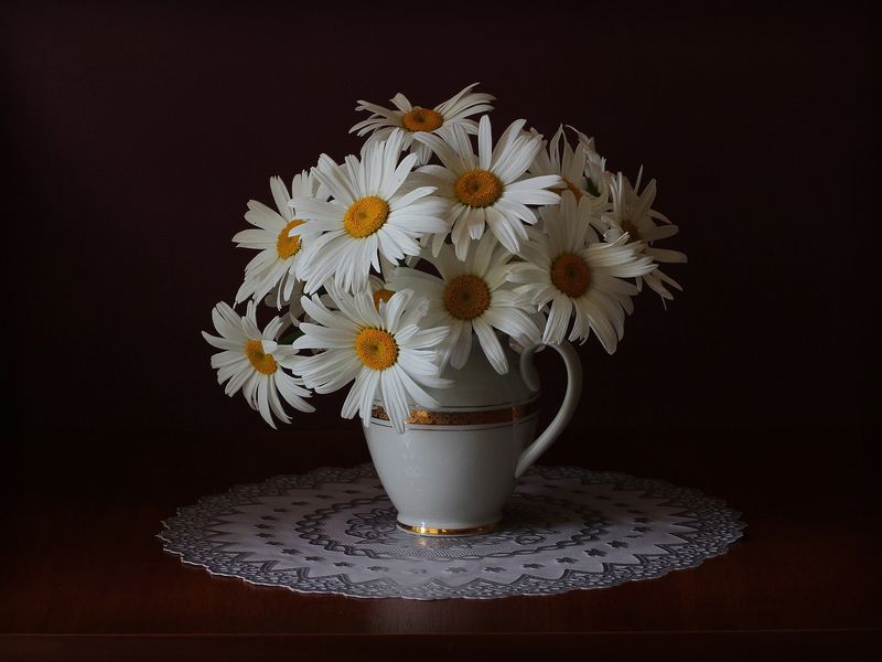 Ромашкиphoto preview