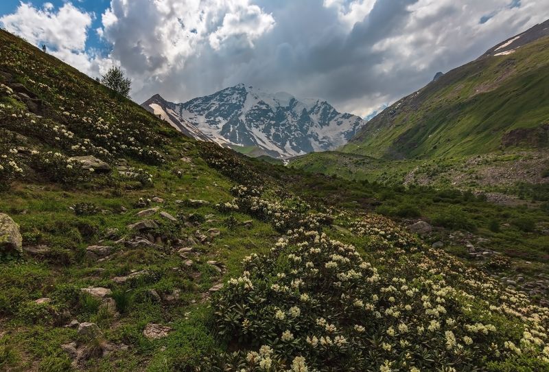 горы,восхождение,кавказ,облака вальс цветов...photo preview