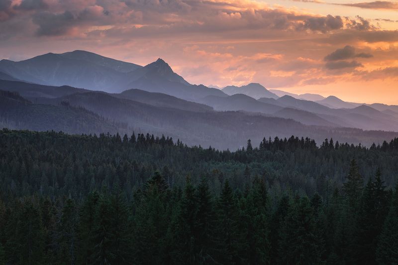 mountains, summer, poland, slovakia, sunset Evening in the Mountainsphoto preview