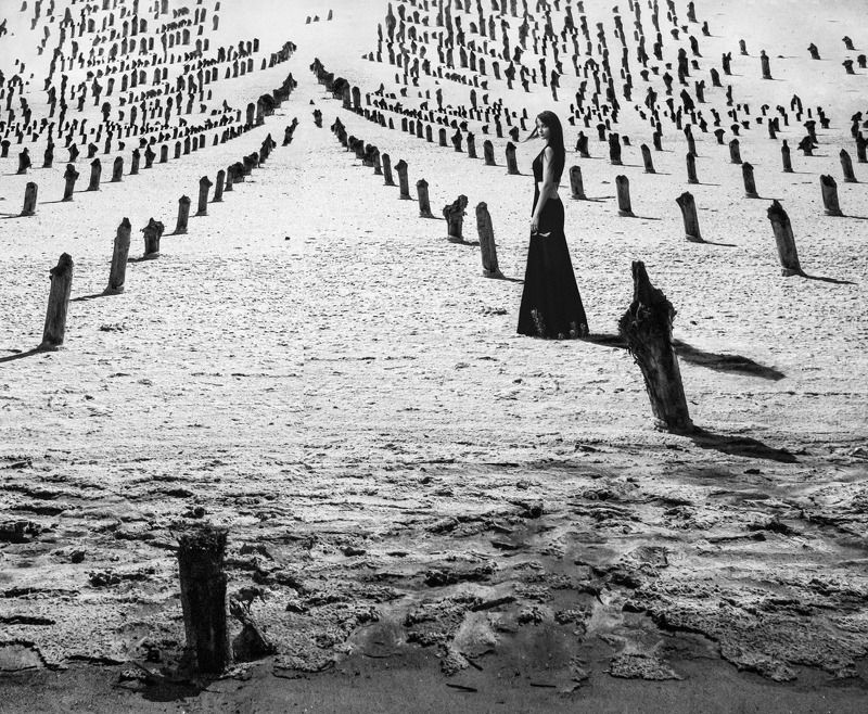 Солончакphoto preview