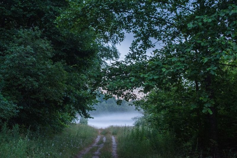 Утроphoto preview