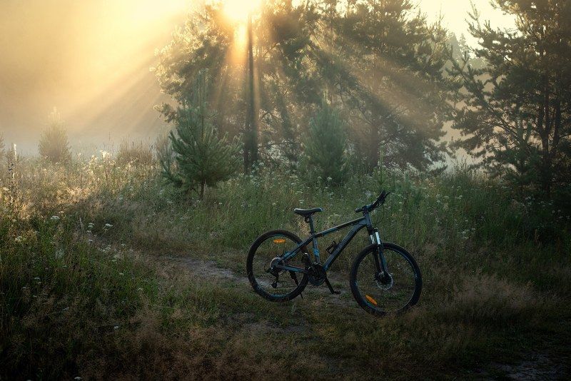 рассвет Утренние лучи солнцаphoto preview