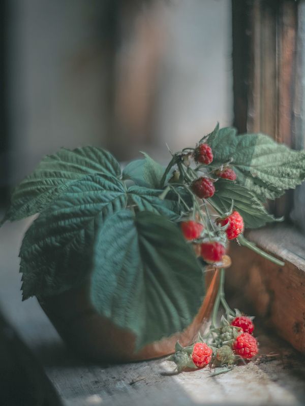 Вкус Лета фото превью