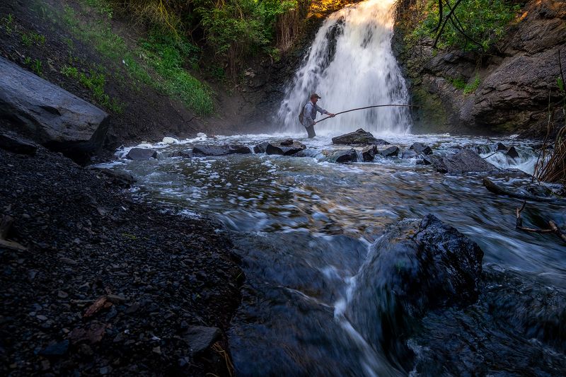 #ProDonbassFisherManphoto preview