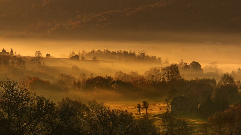 autumn, fall, season, mist, fog, poland, lesser poland, trees, village, golden hour, польша, осень, tranquility, forrest, rural, countryside, valley, outdoor, sunrise, morning, туман, Осеннее Впечатлениеphoto preview