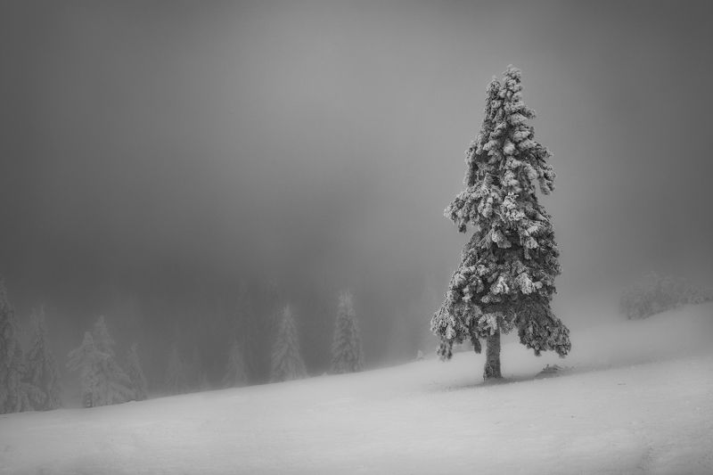 Stand outphoto preview