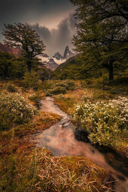 пейзаж, горы, чили, landscape, mountain, chile В гостях у сказкиphoto preview