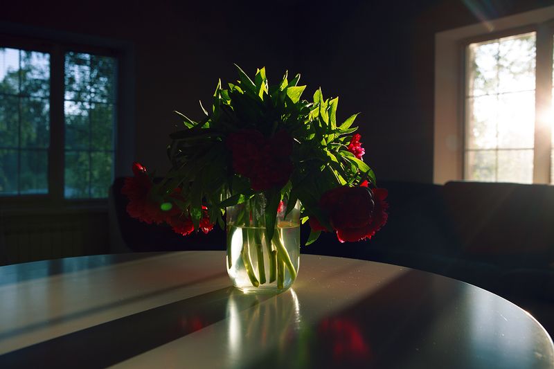 натюрморт photo preview