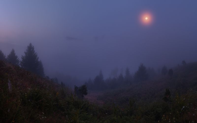 туман, ночь, Луна, река, Стрий, панорама, Сколовские Бескиды, полнолуние, горы, путешествие, night, foggy, mountains, Skolevsky Beskydy, river, Stryi, valley, fog, mist, panorama, moon, light, misty ***photo preview