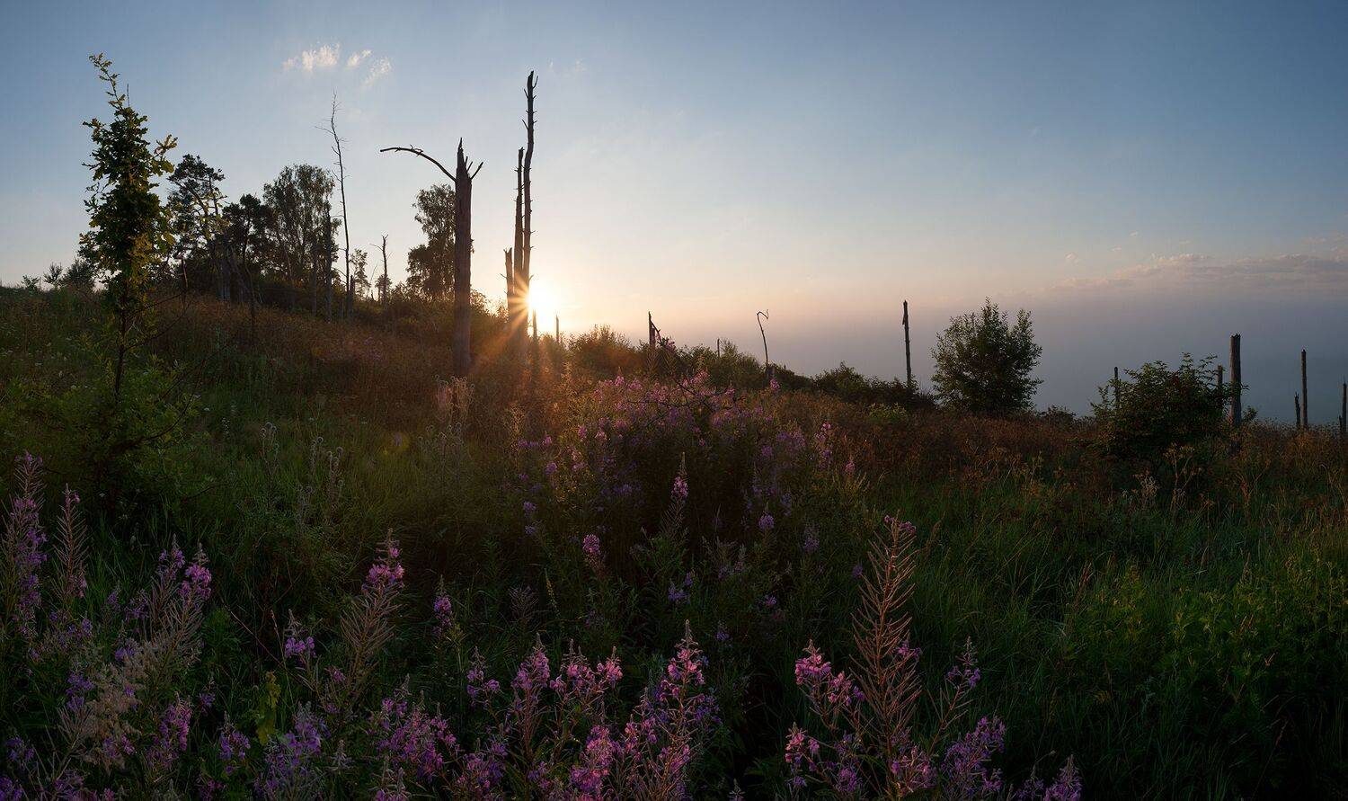 , Виталий Стрельцов