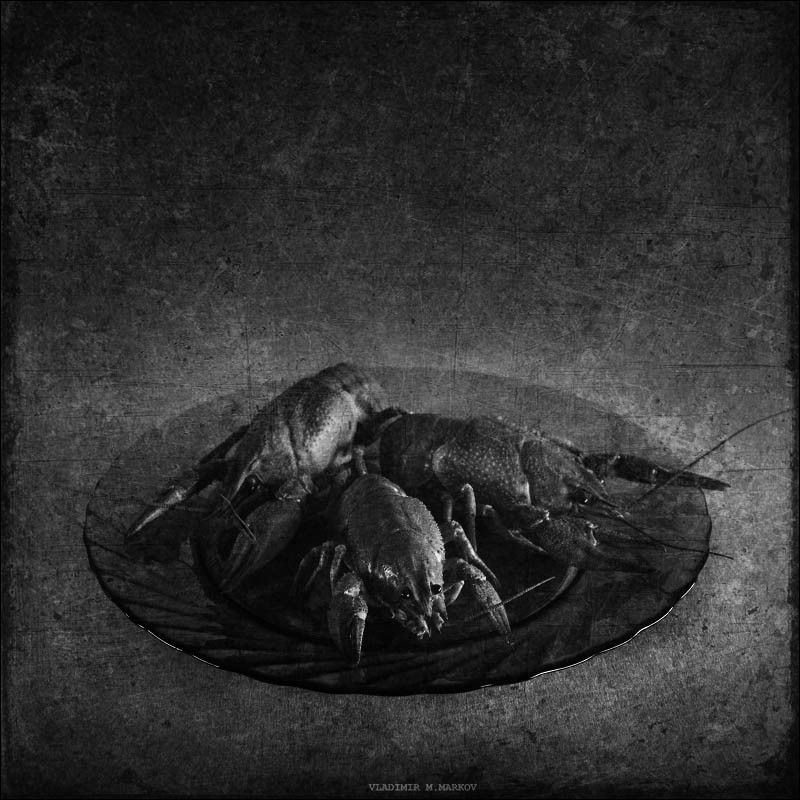 Три красных ракаphoto preview