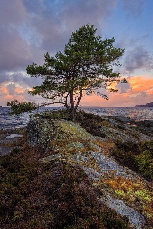 Говорящая с ветромphoto preview