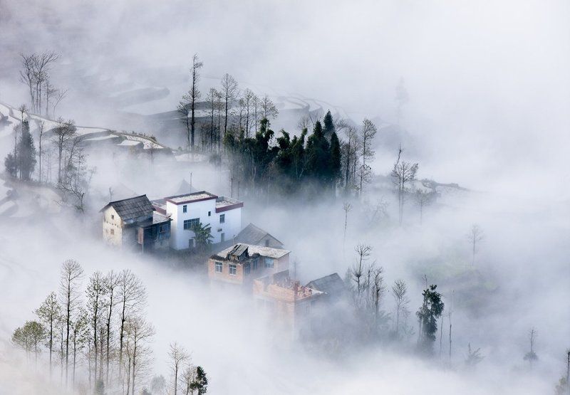 PARADISEphoto preview