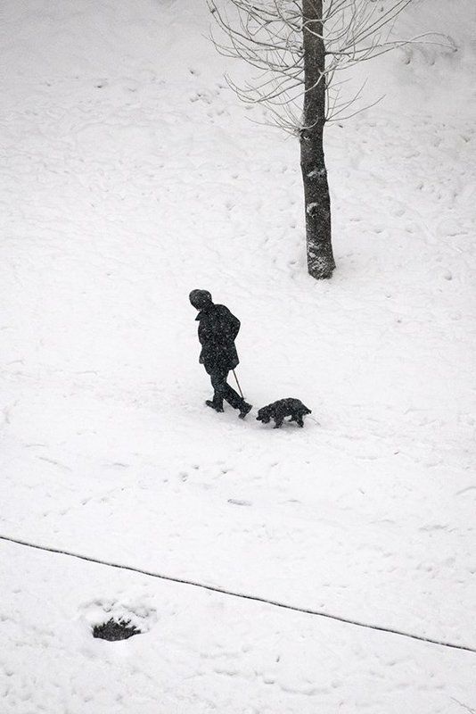 Снова приходит зима...photo preview