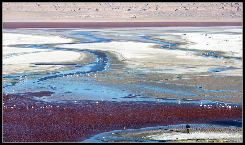 Боливийская Палитра фото превью