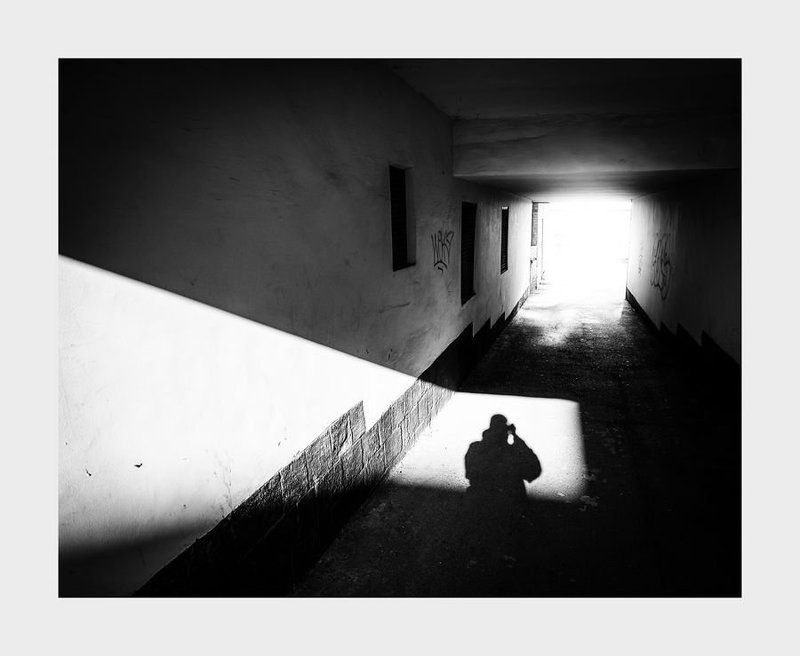 Подворотенный анабасисphoto preview