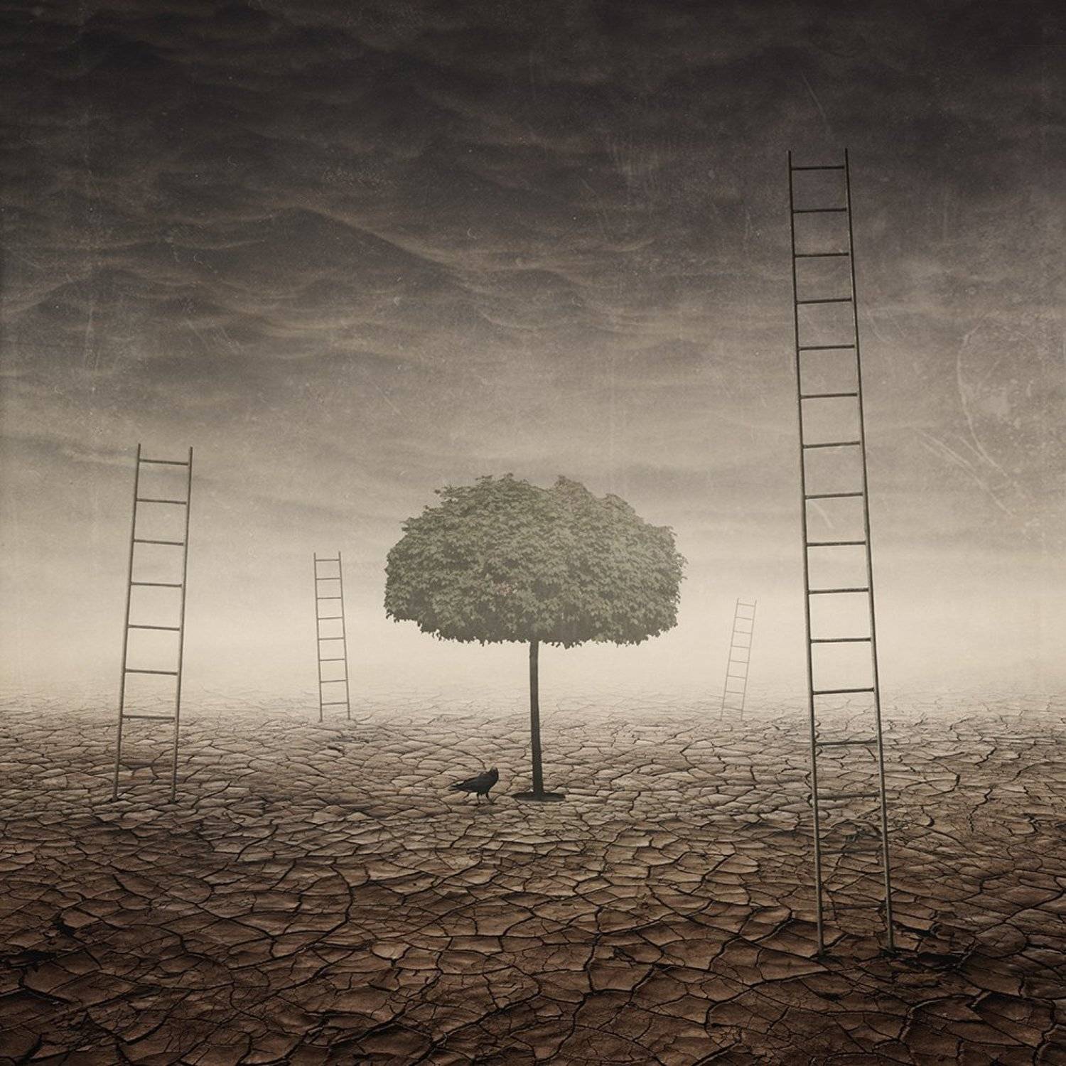 Автор: Remigiusz Ossolinski , Remigiusz Ossolinski