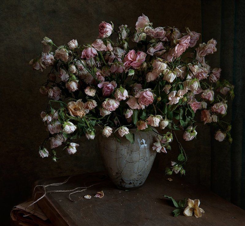 Без названия....photo preview