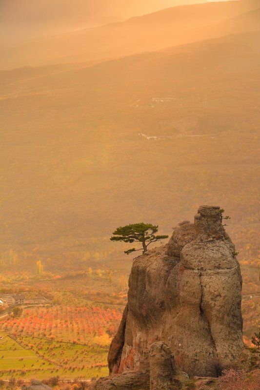 Его величество - свет!photo preview