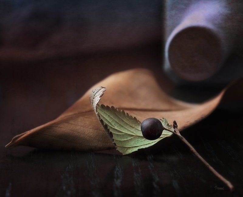 Осень-осень...photo preview