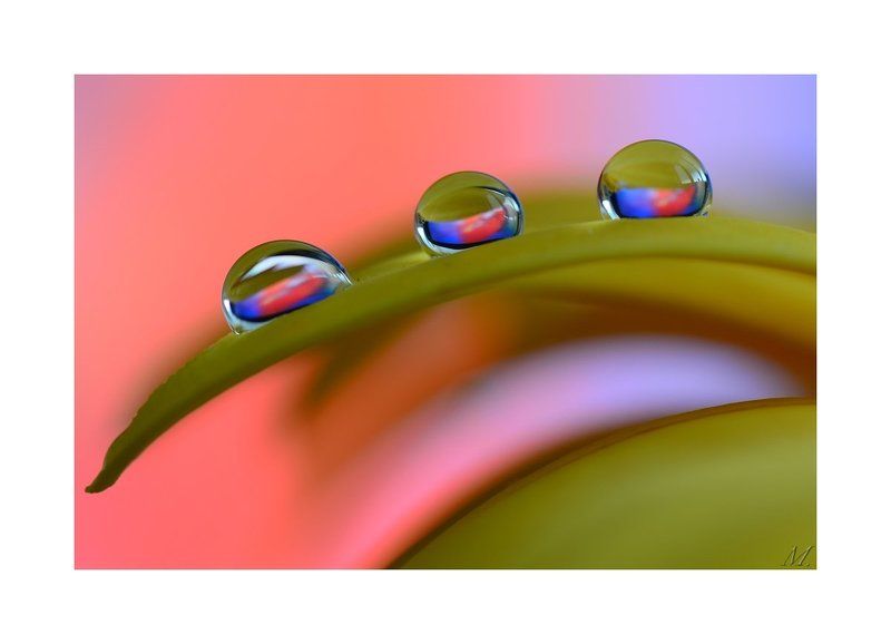 три капли II.photo preview