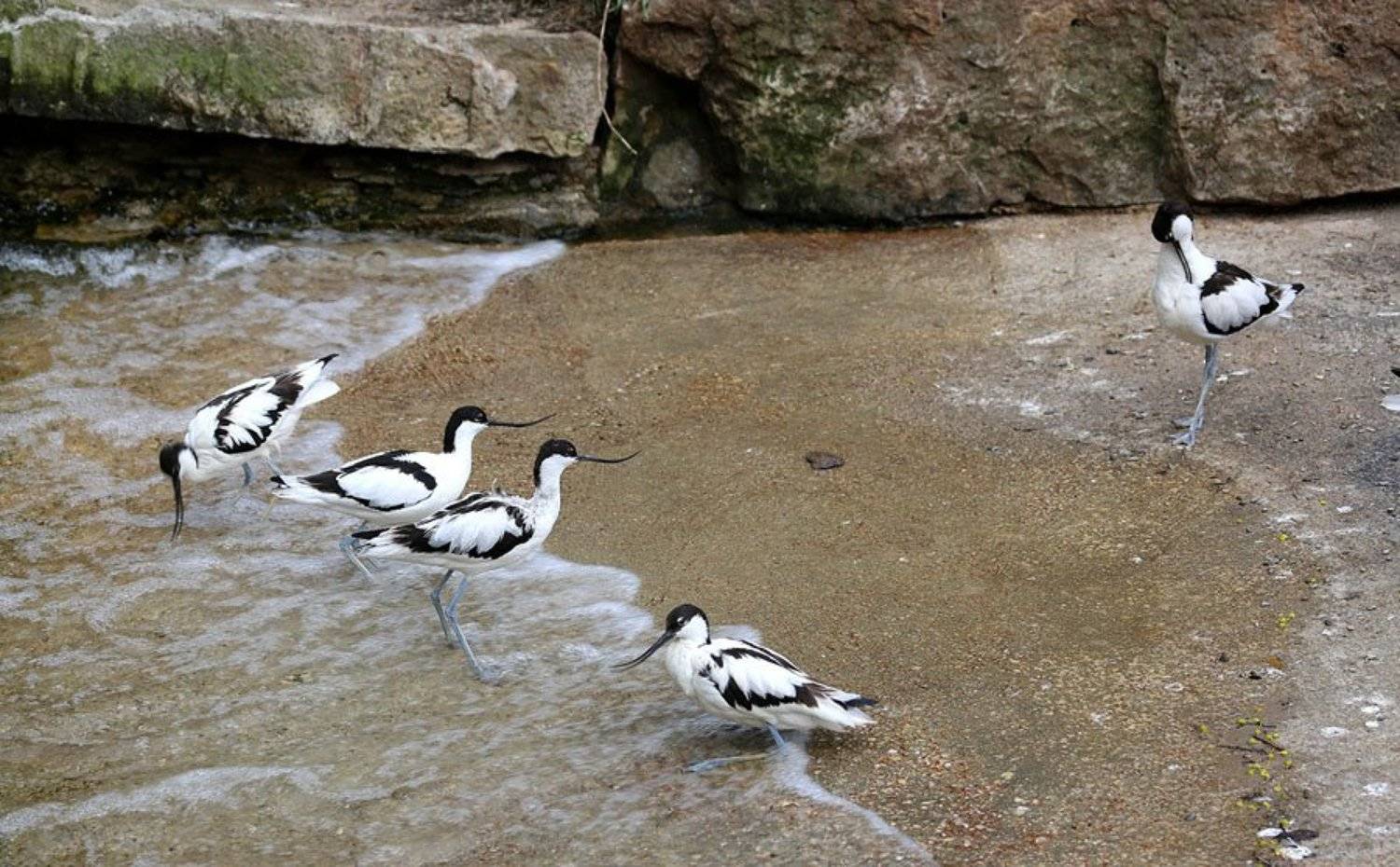 , Солодухин Виктор