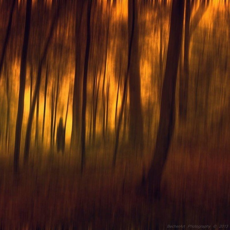 Ghostlines Vphoto preview