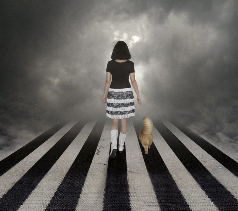 Жизнь - явление полосатое... фото превью