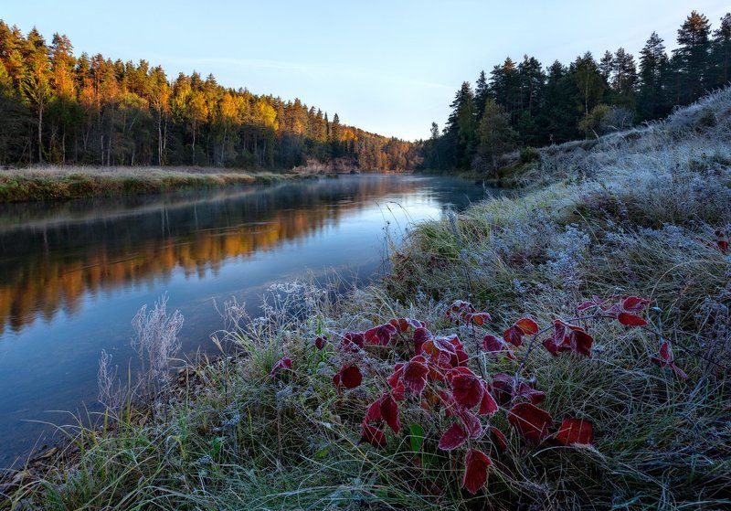 первые заморозкиphoto preview