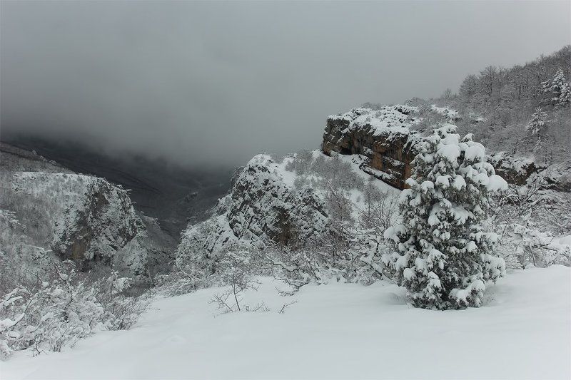 Над каньономphoto preview