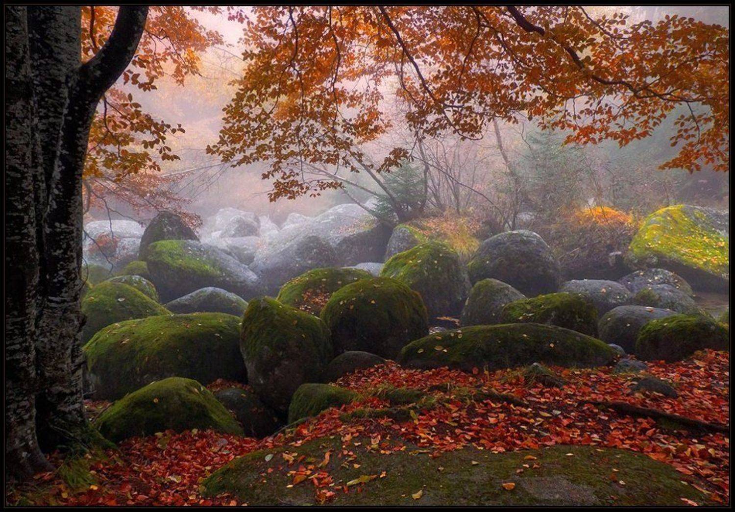 Автор: Svetoslav Georgiev , Svetoslav Georgiev