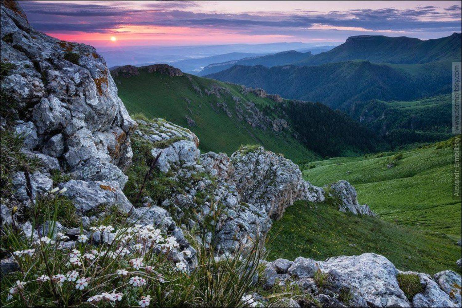 , Александр Ермолицкий