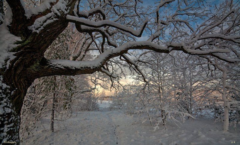 по следуphoto preview