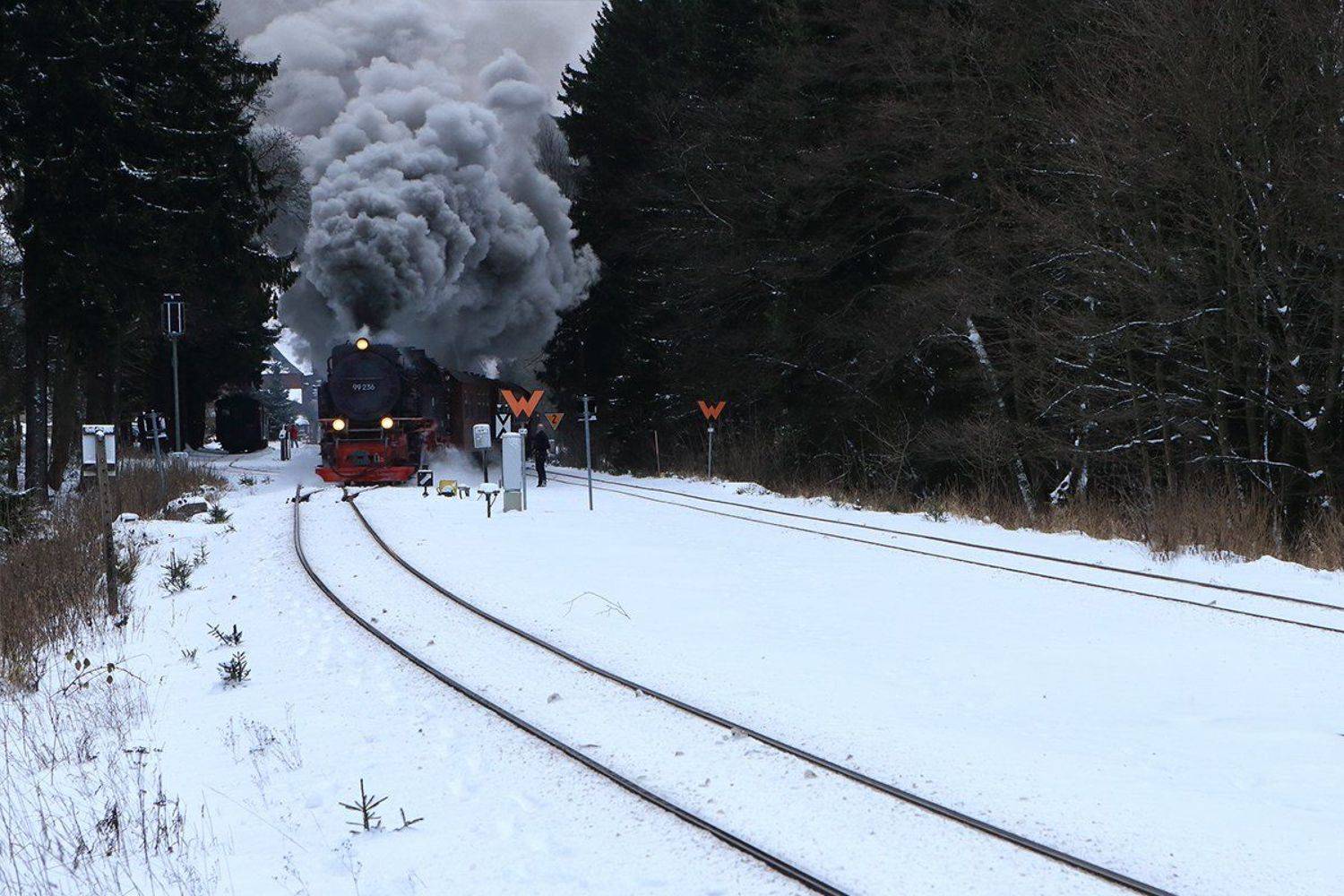 , Игорь Дубровский