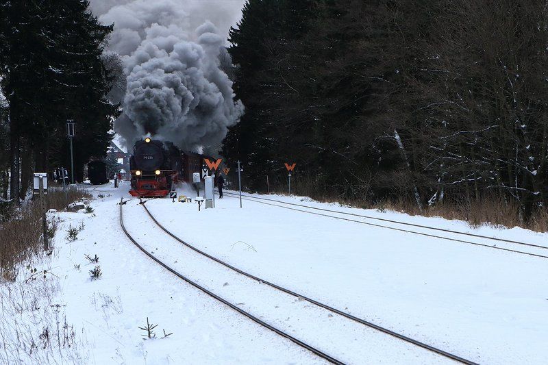 На всех парахphoto preview