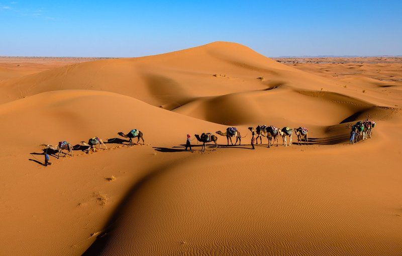 Караванphoto preview