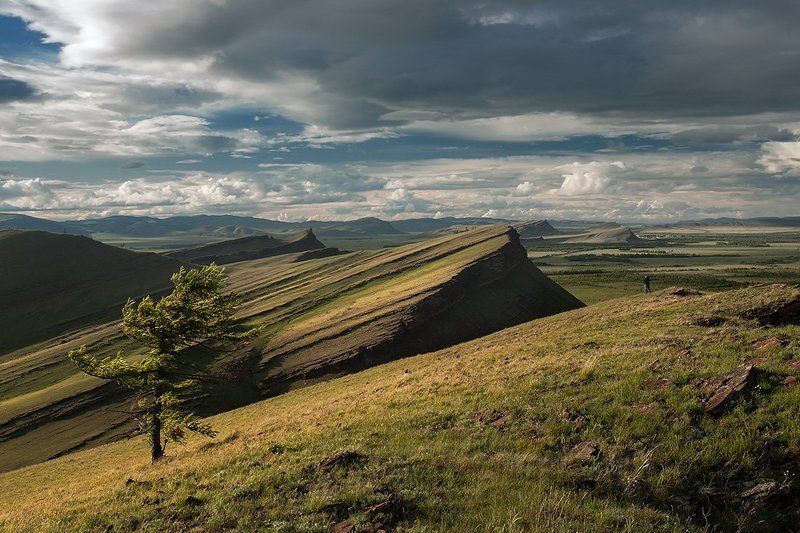 Большой, Ветер, Вечер, Горы, Далекий, Дерево, Долина, Желтый, Камень, Облака, Пейзаж, Природа, Серый, Степь, Сундуки, Хакасия, Холмы, Широкий Сундукиphoto preview