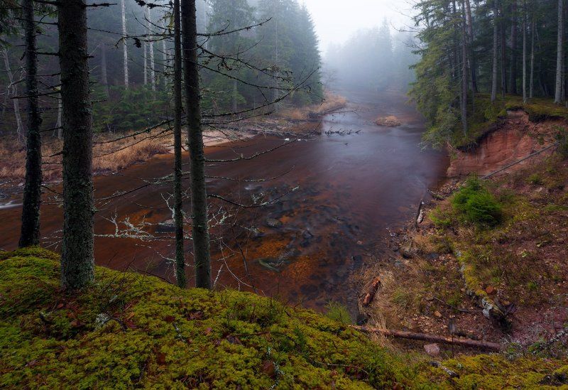 ноябрь, туман тихим серым ноябрьским днемphoto preview