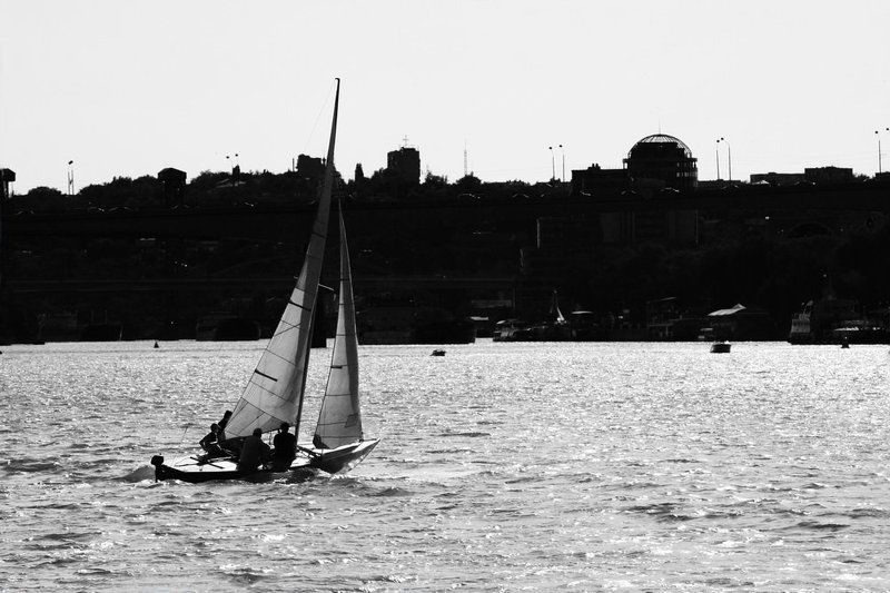 черно-белая жизньphoto preview