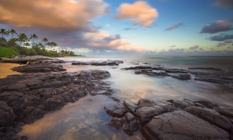 На закате дня в раю.photo preview