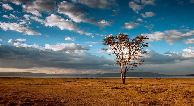 Возвращение на базуphoto preview