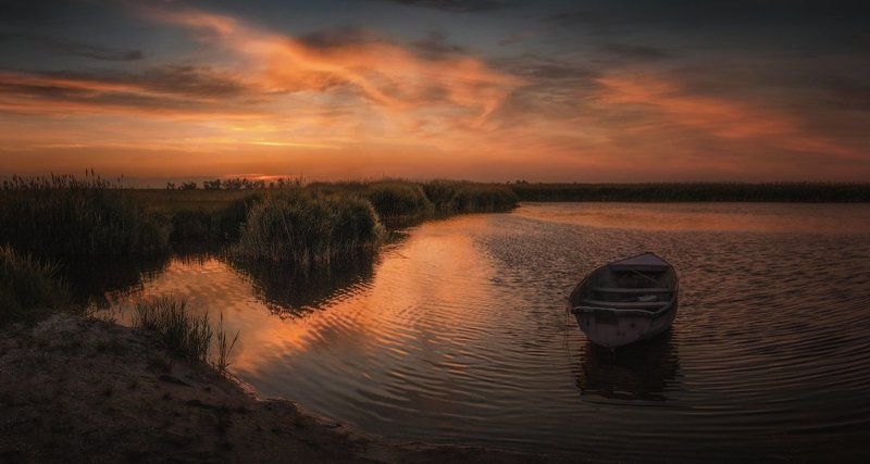 И к небу тянется рукаphoto preview