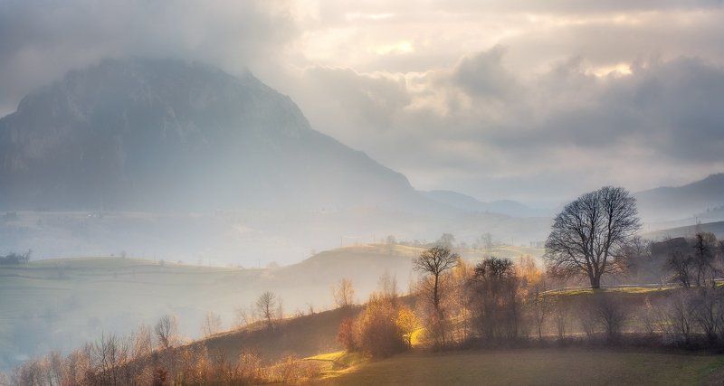Autumn, Landscape, Nature, Romania, Trees photo preview
