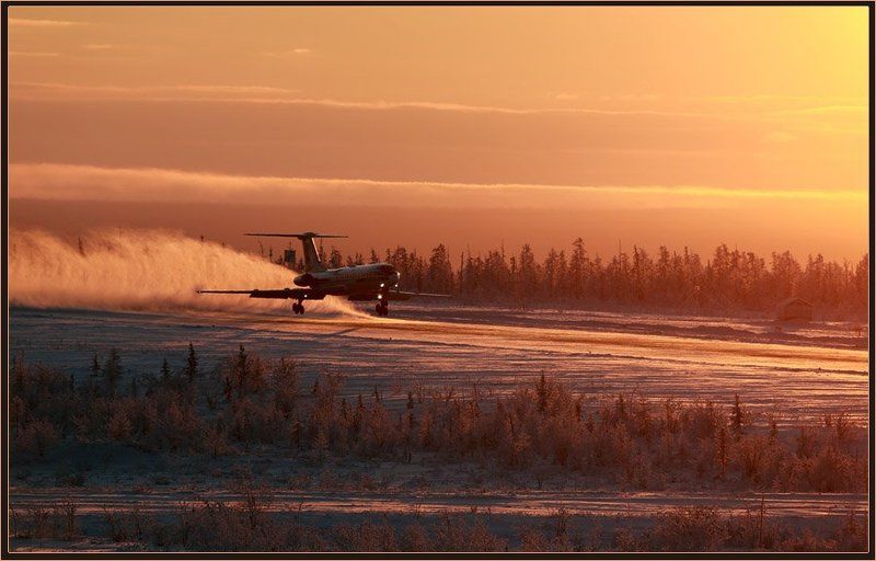 Посадкаphoto preview