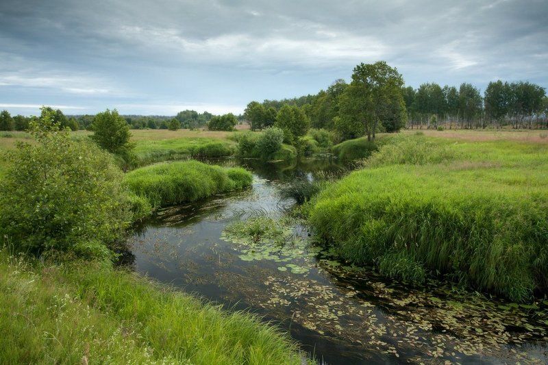 кувшинки, летний пейзаж, пейзаж, летняя открытка, луг, небо, облака, окресности, пейзаж, пейзаж с рекой, река, саров, трава А было ли лето....photo preview