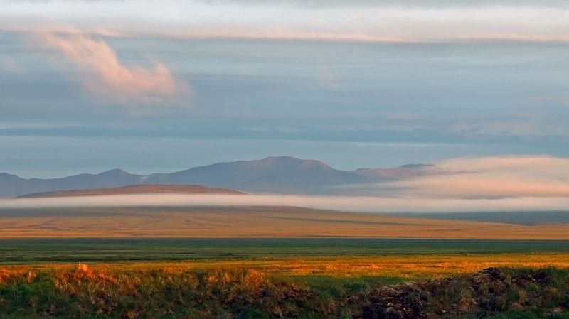 Вуаль.photo preview