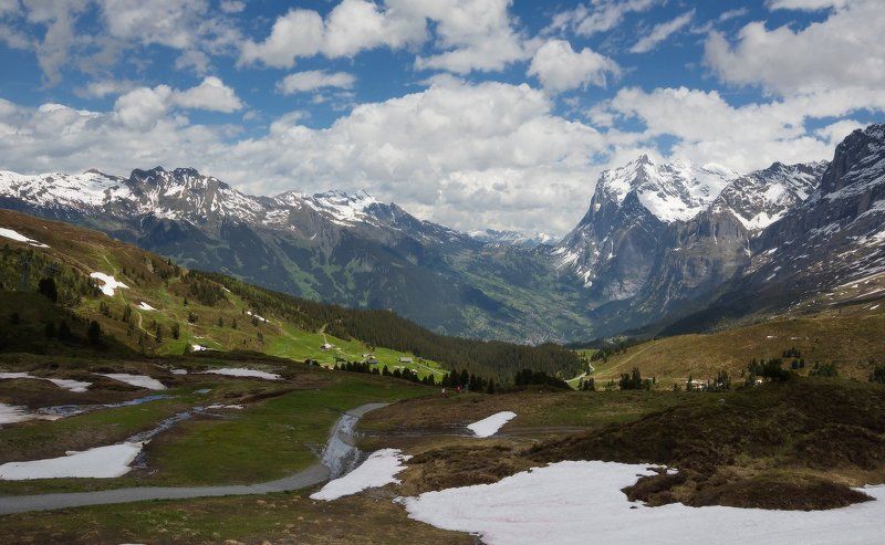 alps, альпы Альпы в июнеphoto preview