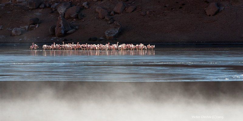 Особенности жизни на альтиплано фото превью