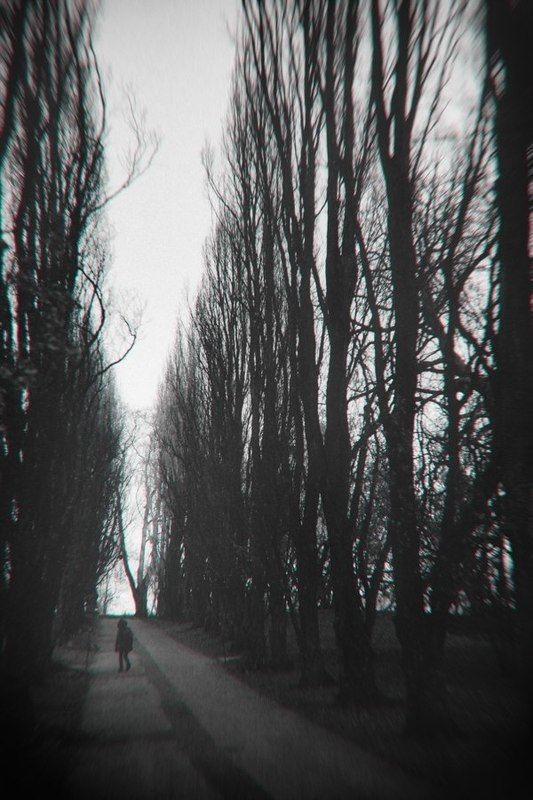 Botanisk hagephoto preview