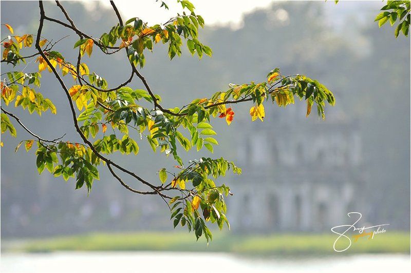 Ha Noi Autumnphoto preview